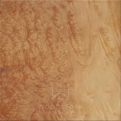 Натуральный шпон Мадрона корень Натуральный шпон Мадрона корень