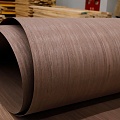 Albero 372S