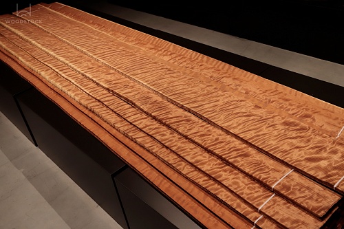 Натуральный шпон Секвойя FRISSE Натуральный шпон Секвойя FRISSE