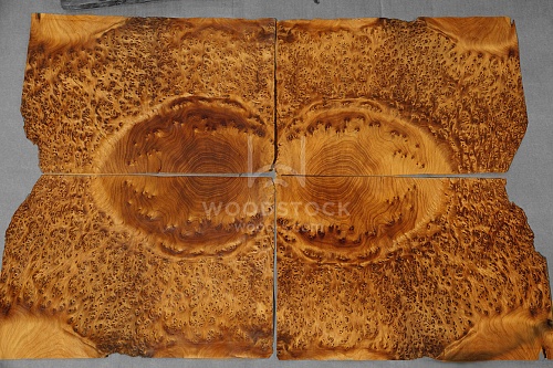 Натуральный шпон Туя корень Натуральный шпон Туя корень