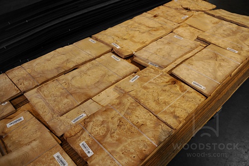 Натуральный шпон Тис корень