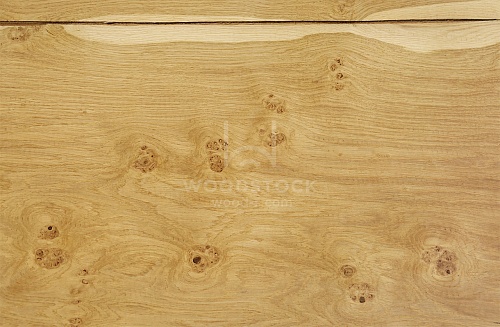 Натуральный шпон Дуб Swirl (Pepper) Натуральный шпон Дуб Swirl (Pepper)