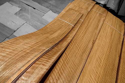 Натуральный шпон Палдао FRISSE Натуральный шпон Палдао FRISSE