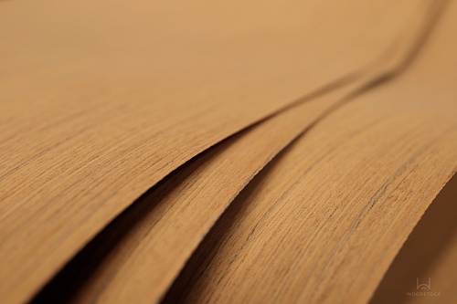 Albero 1074S Albero 1074S