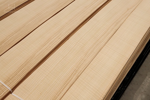 Ясень Оливковый Frisse Ясень Оливковый Frisse