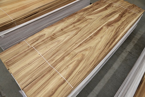 Акация Акация