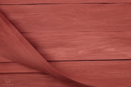 Тополь 52.095 Тополь 52.095