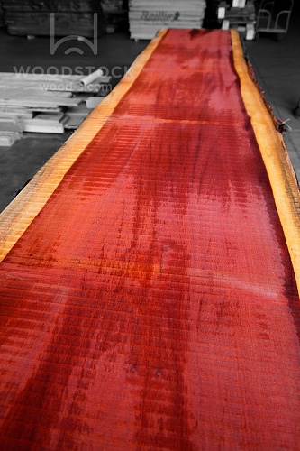 Пиломатериалы Падук, слэб