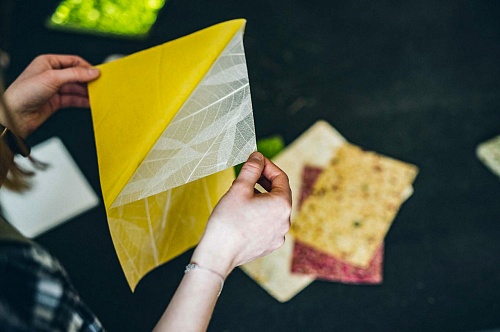 Экополотно ORGANOID Листья Гевеи Экополотно ORGANOID Листья Гевеи