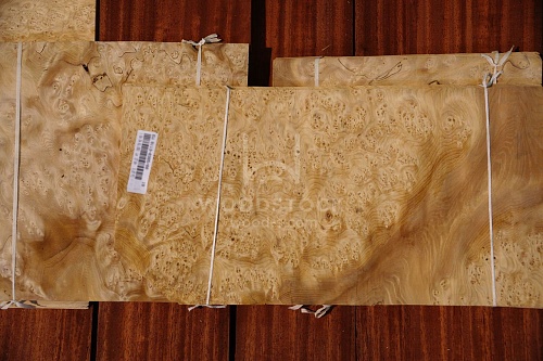 Натуральный шпон Тис корень