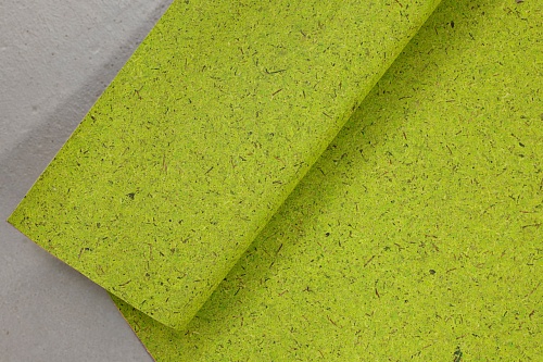 Экополотно Мох Лойташ