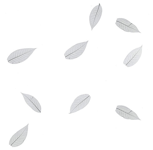 Экополотно Листья Гевеи Антрацит