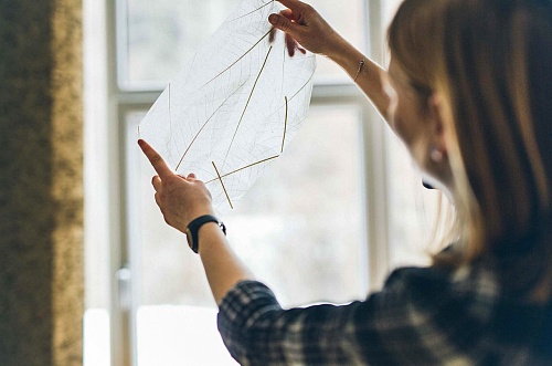 Экополотно ORGANOID Листья Гевеи Экополотно ORGANOID Листья Гевеи