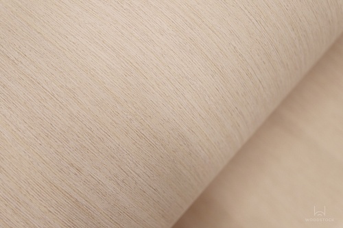 Duna 1919S Duna 1919S