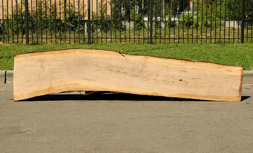 Карагач необрезная доска Карагач необрезная доска