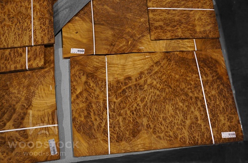 Натуральный шпон Камфора корень