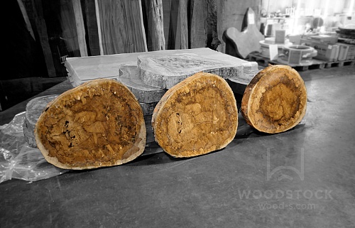 Поперечные срезы дерева Поперечные срезы дерева