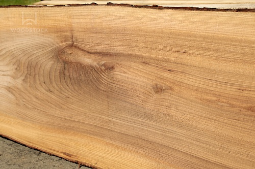 Карагач необрезная доска Карагач необрезная доска