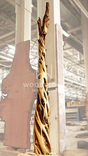 Другие формы Можжевельник [Juniper]