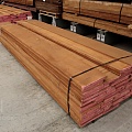 Сапели [Sapele]