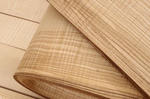 Ясень Оливковый Frisse Ясень Оливковый Frisse