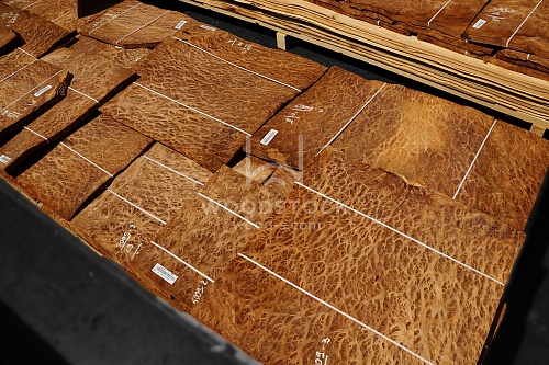 Натуральный шпон Вавона корень Натуральный шпон Вавона корень