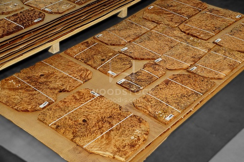 Натуральный шпон Туя корень Натуральный шпон Туя корень