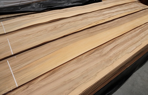 Натуральный шпон Орех сатиновый (Red Gum) Натуральный шпон Орех сатиновый (Red Gum)