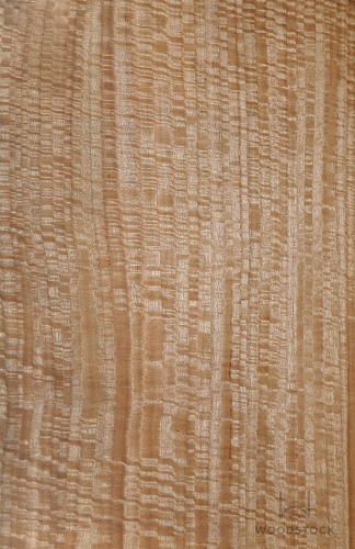 Натуральный шпон Эвкалипт Frize Натуральный шпон Эвкалипт Frize