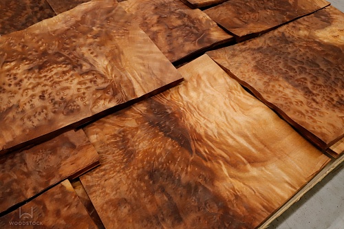 Натуральный шпон Камфора корень