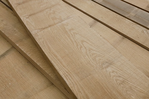 Дуб Дальневосточный