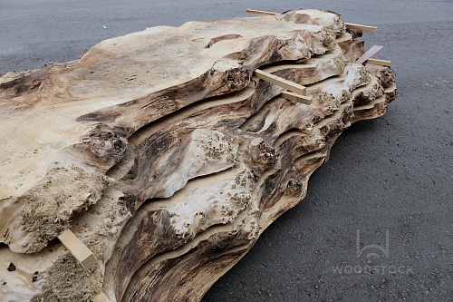 Пиломатериалы Тополь корень, слэб