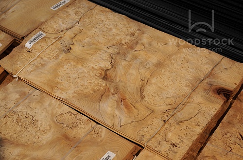 Натуральный шпон Тис корень