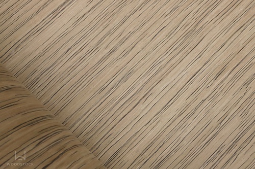 Bianche Notti Arctic 1S Bianche Notti Arctic 1S