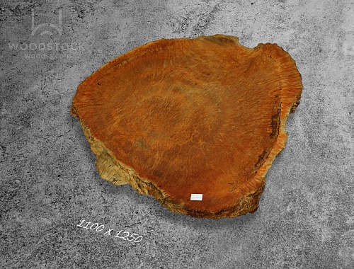 Слэбы Ярра, корень Слэбы Ярра, корень