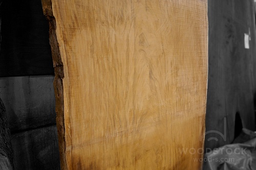 Пиломатериалы Афромозия, слэб