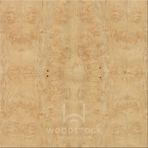 Сращенный шпон Каштан корень Сращенный шпон Каштан корень