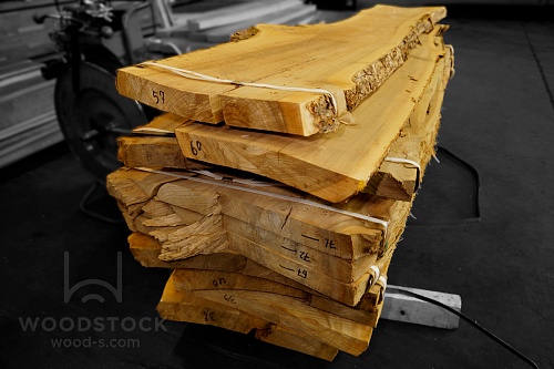 Карагач (Ильм) Карагач (Ильм)