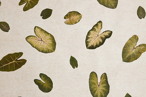 Экополотно Tropical Heart