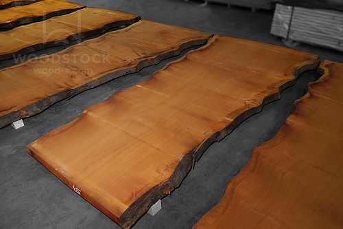 Сапеле, слэбы в ассортименте Сапеле, слэбы в ассортименте