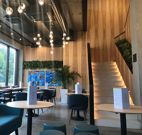 Натуральный шпон Ясень оливковый Натуральный шпон Ясень оливковый