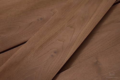 Акация Морёная Акация Морёная