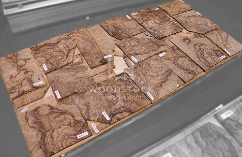 Натуральный шпон Орех европейский корень