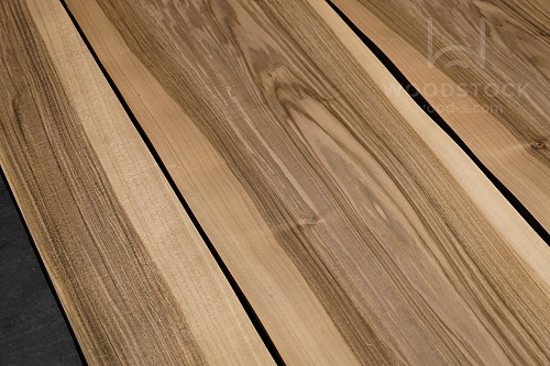 Орех Европейский Colored Орех Европейский Colored