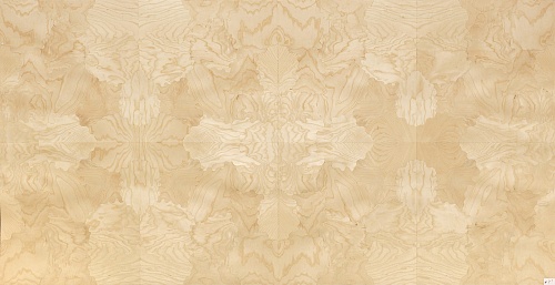 Сращенный шпон Ясень белый корень intarsio Сращенный шпон Ясень белый корень intarsio