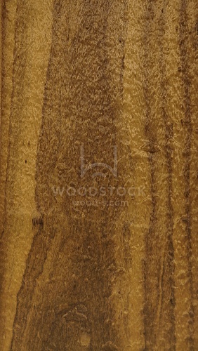 Имбайя Поммеле Имбайя Поммеле