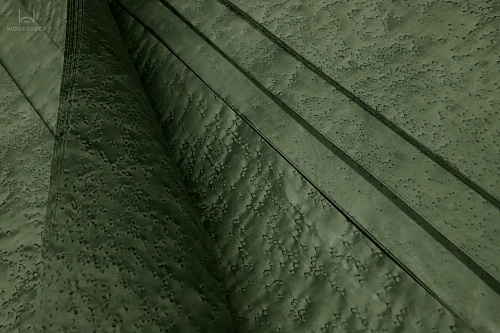 Клён Птичий глаз 05.079 Клён Птичий глаз 05.079