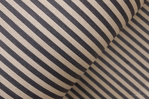 Bianche Notti Z8.803V Bianche Notti Z8.803V