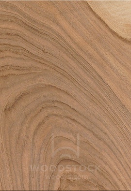 Орех европейский [European Walnut]