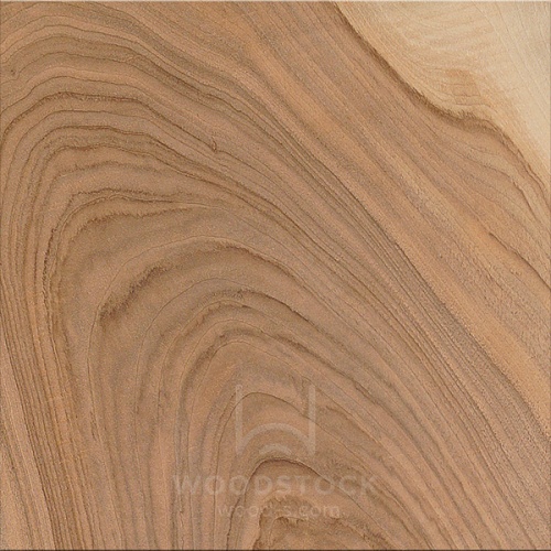 Пиломатериалы Орех европейский [European Walnut]